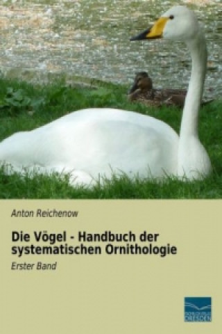 Książka Die Vögel - Handbuch der systematischen Ornithologie Anton Reichenow