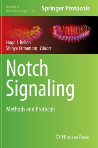 Kniha Notch Signaling, 1 Hugo J. Bellen