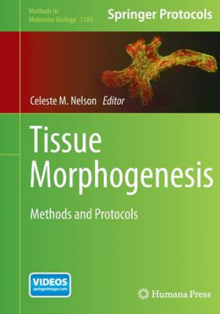 Carte Tissue Morphogenesis Celeste M. Nelson