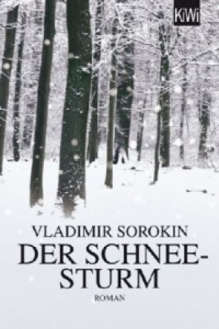 Könyv Der Schneesturm Vladimir Sorokin
