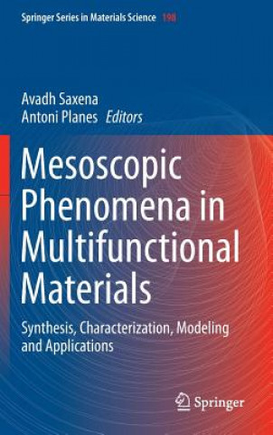 Książka Mesoscopic Phenomena in Multifunctional Materials Avadh Saxena