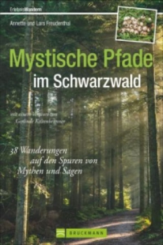Carte Mystische Pfade im Schwarzwald Lars und Annette Freudenthal