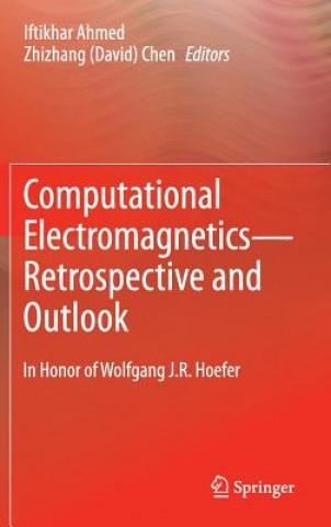Carte Computational Electromagnetics-Retrospective and Outlook Iftikhar Ahmed