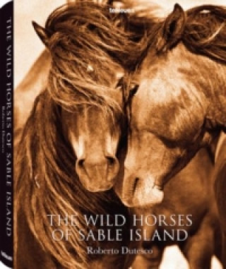 Książka Wild Horses of Sable Island Roberto Dutesco