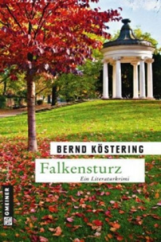 Kniha Falkensturz Bernd Köstering