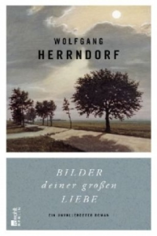 Knjiga Bilder deiner großen Liebe Wolfgang Herrndorf