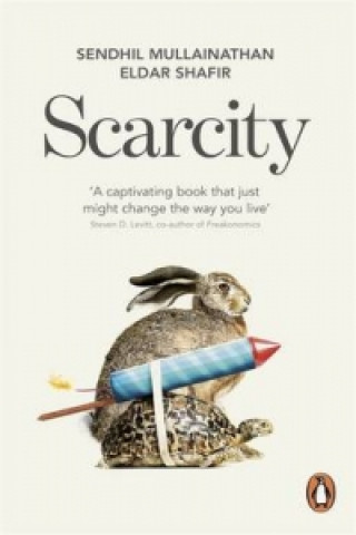 Kniha Scarcity Sendhil Mullainathan