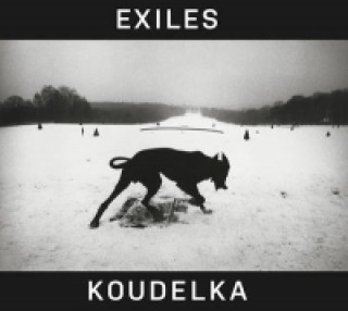 Könyv Josef Koudelka: Exiles Josef Koudelka