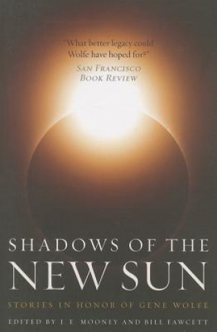 Kniha Shadows of the New Sun Bill Fawsett