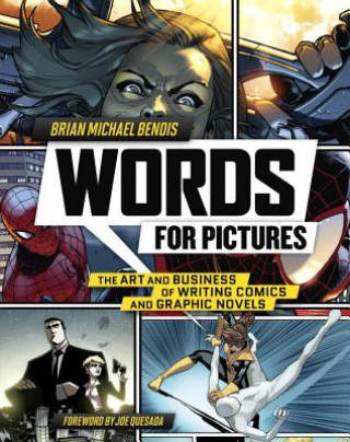 Kniha Words for Pictures Brian Michael Bendis