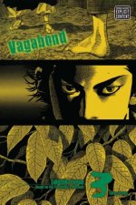 Carte Vagabond (VIZBIG Edition), Vol. 3 Takehiko Inoue
