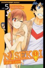 Könyv Nisekoi: False Love, Vol. 5 Naoshi Komi