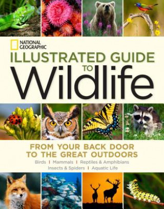 Livre National Geographic Illustrated Guide to Wildlife National Geographic