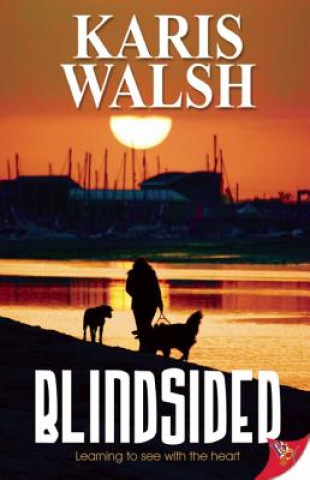 Kniha Blindsided Karis Walsh
