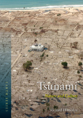 Buch Tsunami Richard Hamblyn
