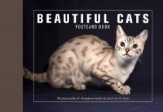 Kniha Beautiful Cats Postcard Book Andrew Perris