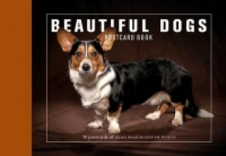Carte Beautiful Dogs Postcard Book Andrew Perris