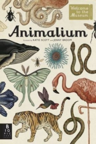 Carte Animalium Jenny Broom