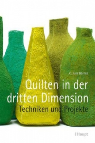 Buch Quilten in der dritten Dimension C. June Barnes