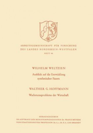 Kniha Ausblick Auf Die Entwicklung Synthetischer Fasern. Wachstumsprobleme Der Wirtschaft Walther G. Weltzien