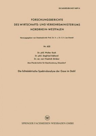 Книга Lichtelektrische Spektralanalyse Der Gase Im Stahl Walter Koch