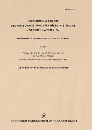 Книга Die Reduktion Von Eisenerzen Im Elektro-Fliessbett Hermann Schenck