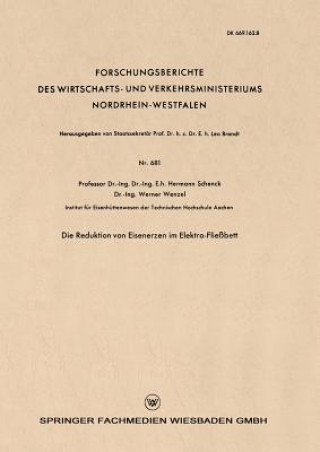 Book Die Reduktion Von Eisenerzen Im Elektro-Fliessbett Hermann Schenck