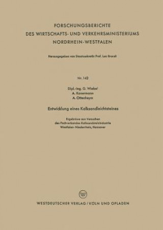 Könyv Entwicklung Eines Kalksandleichtsteines Gottfried Martin Ferdinand Wiebel
