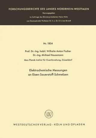 Książka Elektrochemische Messungen an Eisen-Sauerstoff-Schmelzen Wilhelm Anton Fischer