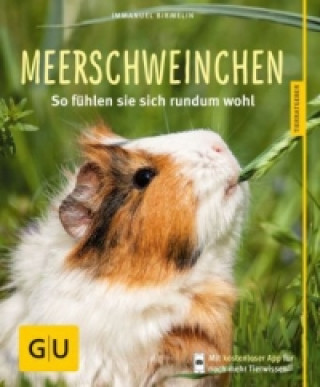 Kniha Meerschweinchen Immanuel Birmelin