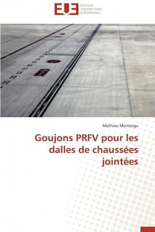 Kniha Goujons Prfv Pour Les Dalles de Chauss es Joint es Mathieu Montaigu