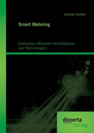 Kniha Smart Metering Christian Schäfer