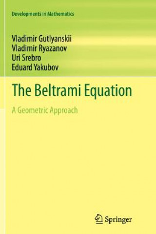 Książka Beltrami Equation Vladimir Gutlyanskii