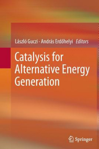 Kniha Catalysis for Alternative Energy Generation László Guczi