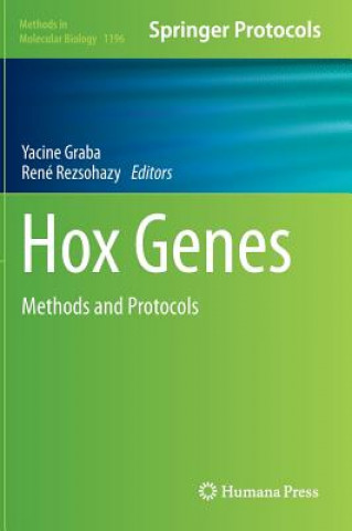 Kniha Hox Genes Yacine Graba