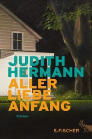 Könyv Aller Liebe Anfang Judith Hermann