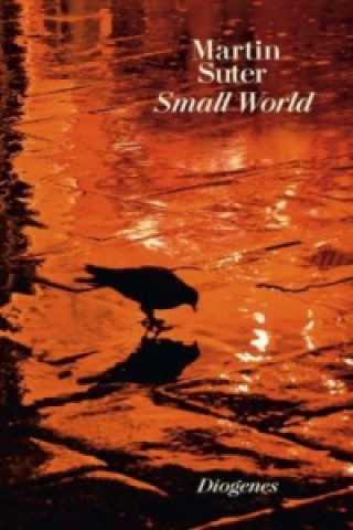 Kniha Small World Martin Suter