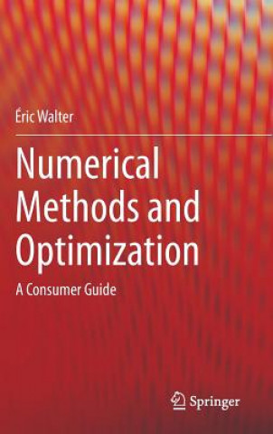 Книга Numerical Methods and Optimization Eric Walter