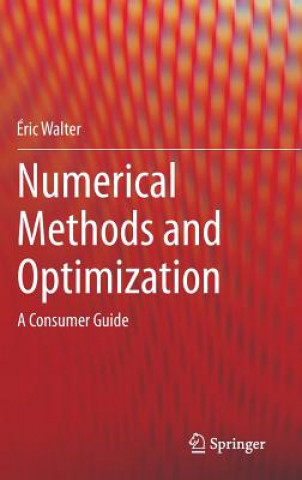 Kniha Numerical Methods and Optimization Eric Walter