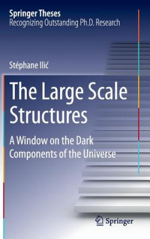 Libro Large Scale Structures Stéphane Ili