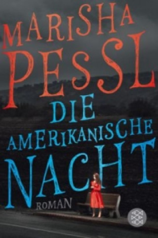 Kniha Die amerikanische Nacht Marisha Pessl