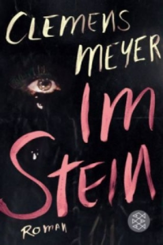 Könyv Im Stein Clemens Meyer