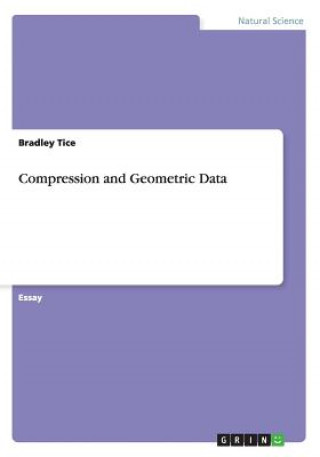 Buch Compression and Geometric Data Bradley Tice
