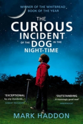Kniha Curious Incident of the Dog in the Night-time Mark Haddon