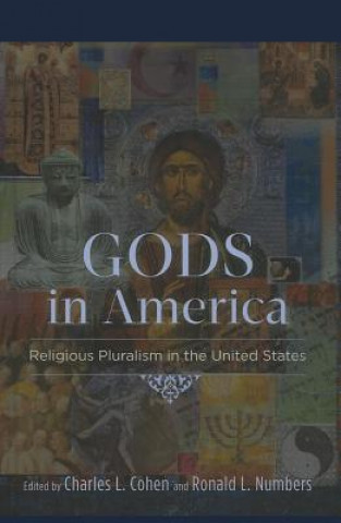 Книга Gods in America Charles Lloyd Cohen