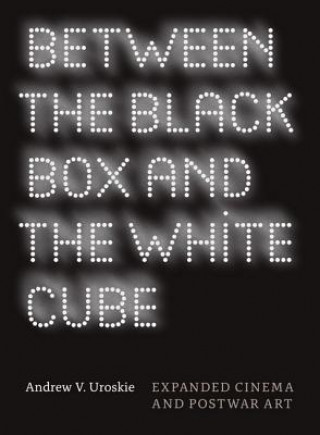 Buch Between the Black Box and the White Cube Andrew V Uroskie