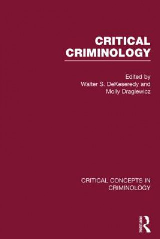 Книга Critical Criminology Walter S DeKeseredy