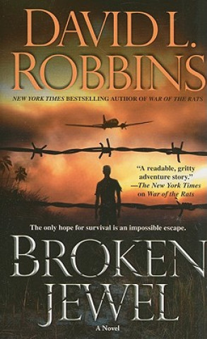 Buch Broken Jewel DavidL Robbins