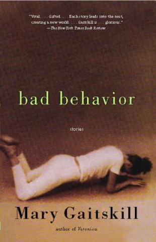 Книга Bad Behavior Mary Gaitskill