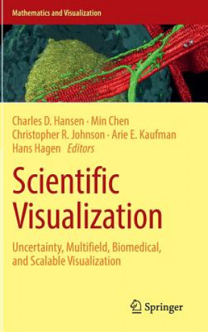 Book Scientific Visualization Min Chen